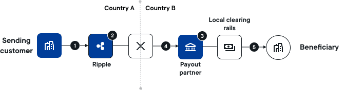 {{process.env.VAR_RPD}} flow of funds