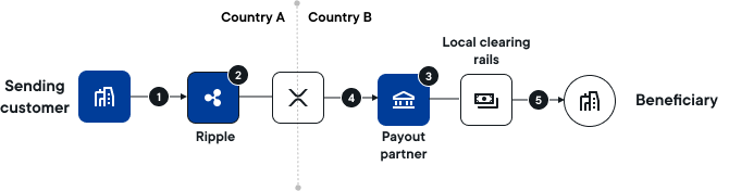 {{process.env.VAR_RPD}} flow of funds