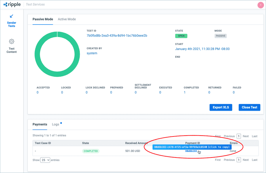 Single Payment Test Record